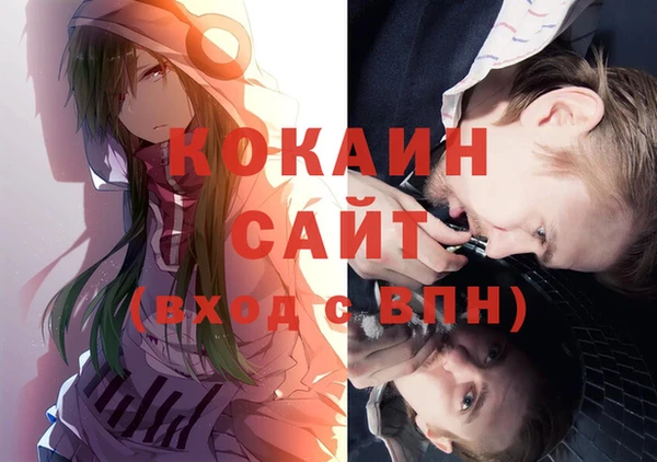 Альфа ПВП Горняк